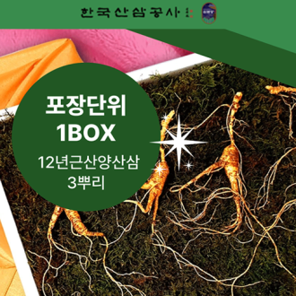 12년근 산양산삼(3뿌리 단위 포장)